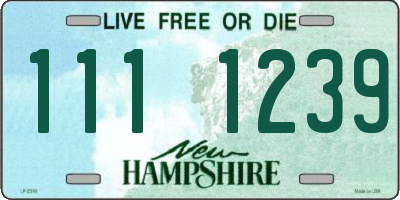 NH license plate 1111239