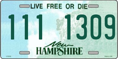 NH license plate 1111309