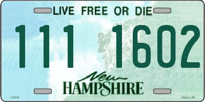 NH license plate 1111602