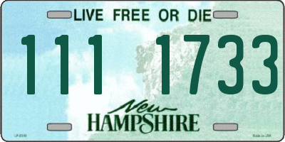 NH license plate 1111733