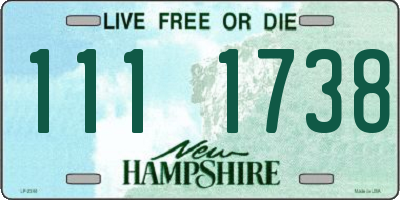 NH license plate 1111738