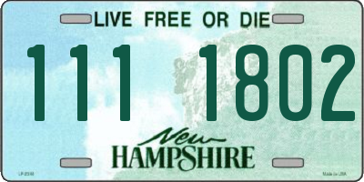 NH license plate 1111802