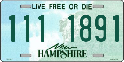 NH license plate 1111891