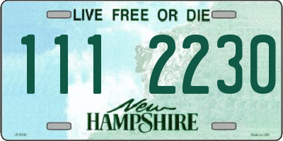 NH license plate 1112230
