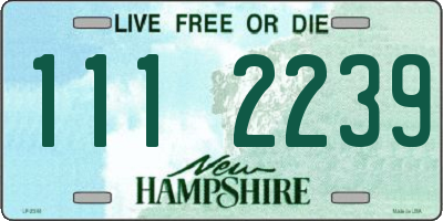 NH license plate 1112239