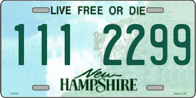 NH license plate 1112299