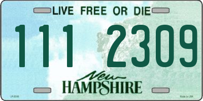 NH license plate 1112309