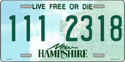 NH license plate 1112318