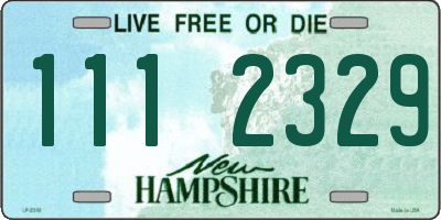 NH license plate 1112329