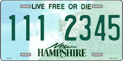 NH license plate 1112345