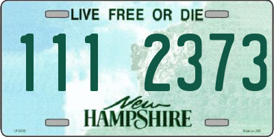 NH license plate 1112373