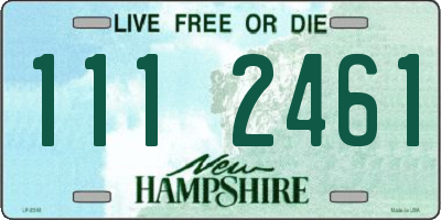 NH license plate 1112461