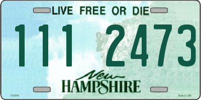 NH license plate 1112473