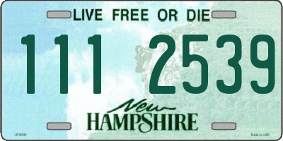 NH license plate 1112539