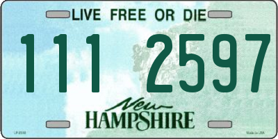 NH license plate 1112597