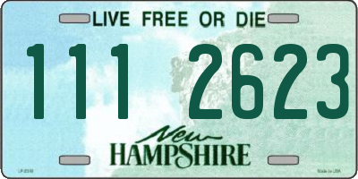 NH license plate 1112623
