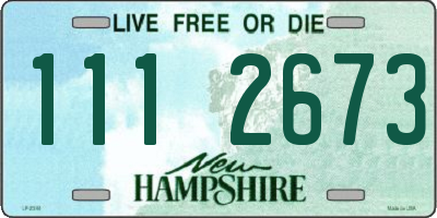 NH license plate 1112673