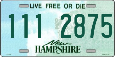 NH license plate 1112875