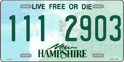 NH license plate 1112903