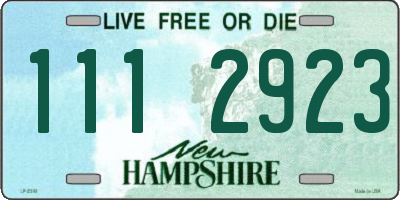 NH license plate 1112923