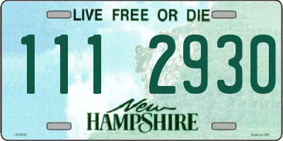 NH license plate 1112930