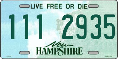 NH license plate 1112935