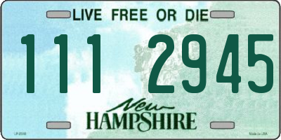 NH license plate 1112945