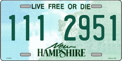 NH license plate 1112951