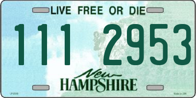 NH license plate 1112953