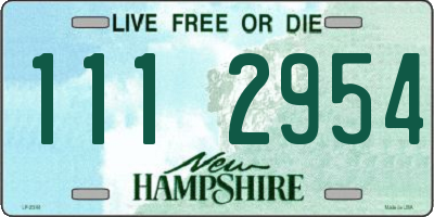 NH license plate 1112954