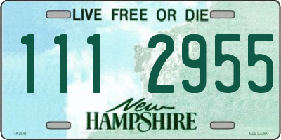 NH license plate 1112955