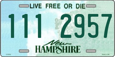 NH license plate 1112957