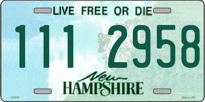 NH license plate 1112958