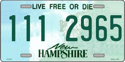 NH license plate 1112965