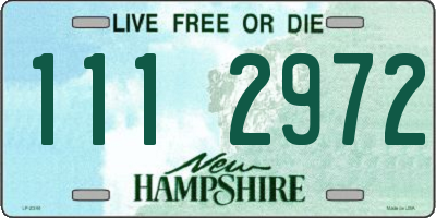 NH license plate 1112972