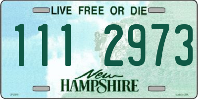 NH license plate 1112973