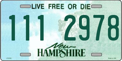 NH license plate 1112978