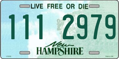 NH license plate 1112979