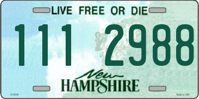 NH license plate 1112988