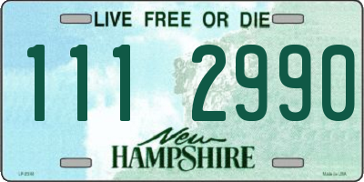 NH license plate 1112990