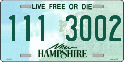 NH license plate 1113002