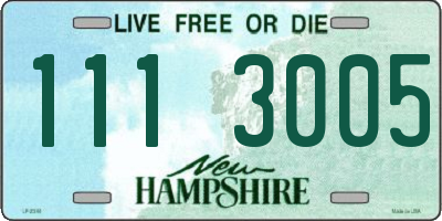 NH license plate 1113005