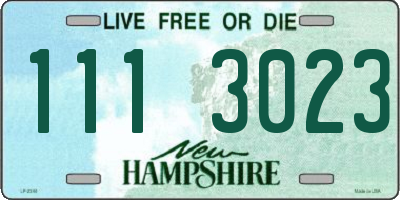NH license plate 1113023