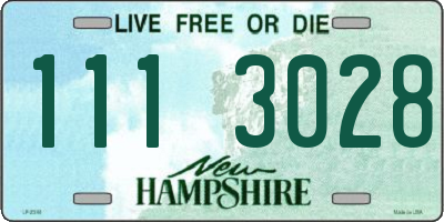 NH license plate 1113028