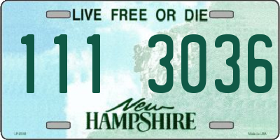 NH license plate 1113036