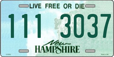 NH license plate 1113037