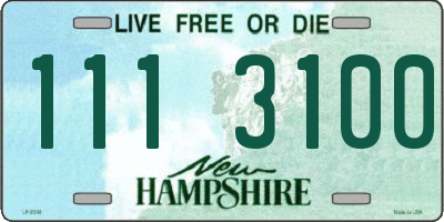 NH license plate 1113100