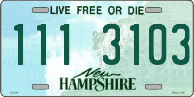 NH license plate 1113103