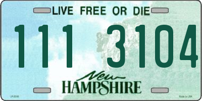 NH license plate 1113104