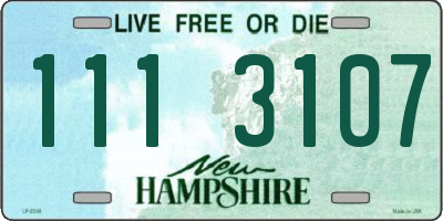 NH license plate 1113107